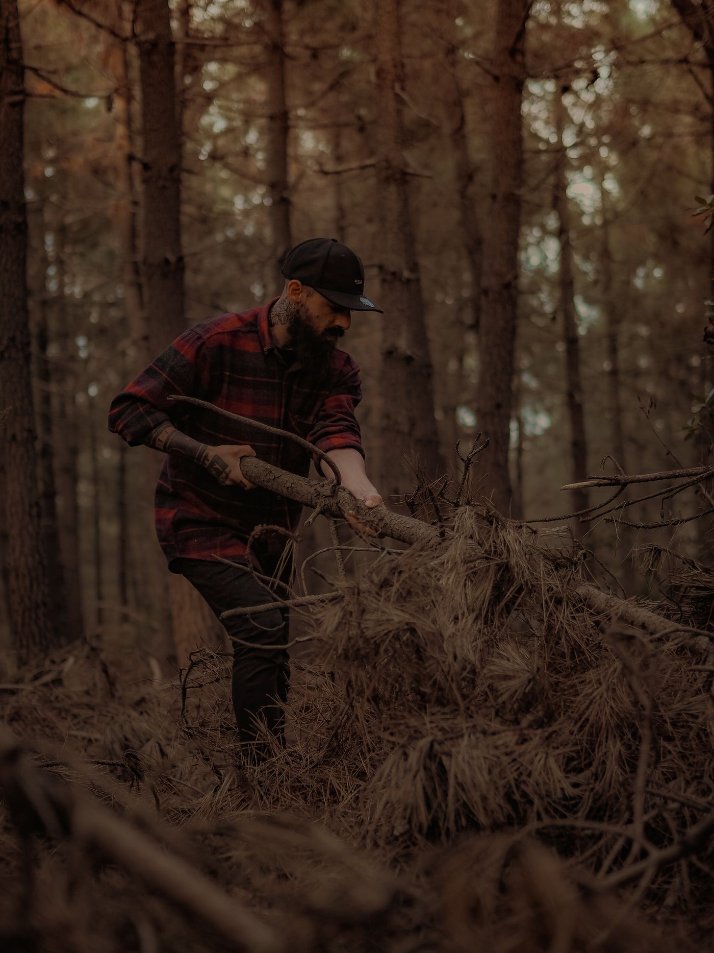 Brush and branch cleanup